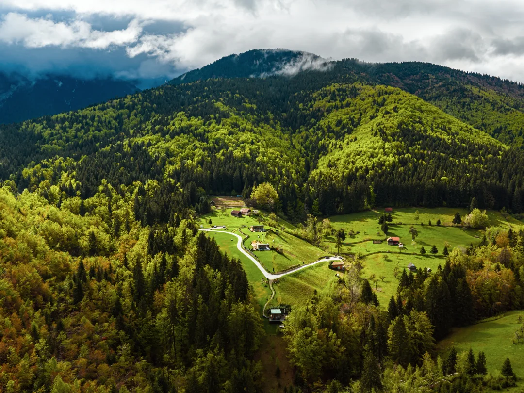 Aerial view of Eden Hill villas and paths among green meadows and forested hills.