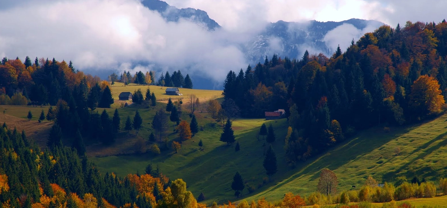 Ghidul tău pentru un weekend perfect în Bran